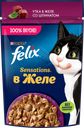 Корм влажный для взрослых кошек FELIX Sensations Утка в желе со шпинатом, 75г