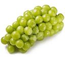 Виноград Шайн Мускат нефритовый