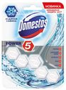 Блок для очищения унитаза Domestos Power 5 Ледяная лавина, 55 г