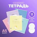 Тетрадь школьная с полями, А5, 18 листов, в ассортименте