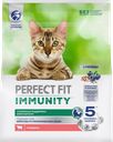 Корм сухой для взрослых кошек PERFECT FIT Иммунитет с говядиной и добавлением семян льна и голубики, 1,1кг
