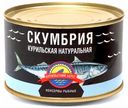 Скумбрия Курильский берег курильская натуральная 250 г