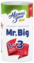 Бумажные полотенца Мягкий знак Mr.Big двухслойные 