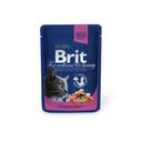 Корм Brit Premium для кошек, с лососем и форелью, 100 г